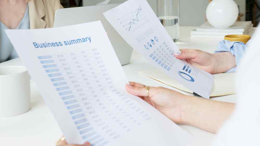 1. business summary