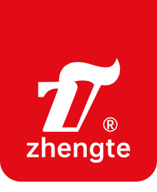 6.zhengte logo